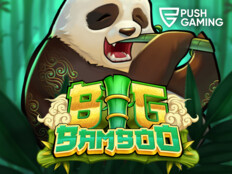 Casino free online slots5